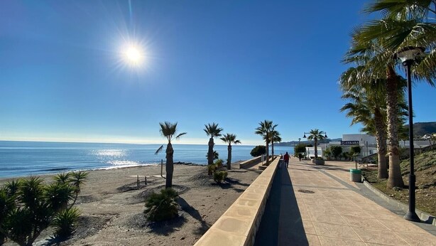 Un passeig marítim amb palmeres, un cel clar i l'oceà.