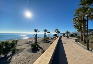Un paseo marítimo con palmeras, cielo despejado y el océano.
