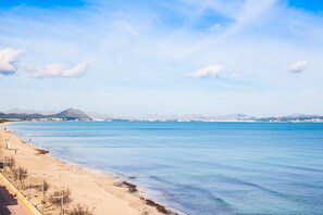 Playa en los alrededores 