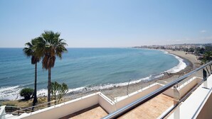 A coastal view from a balcony with a palm tree, beach, and cityscape.