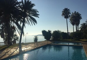 Een zwembad met uitzicht op zee, omgeven door palmbomen en een heldere lucht.