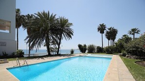 Una piscina rettangolare con acqua cristallina, circondata da palme e un edificio bianco con un cartello.
