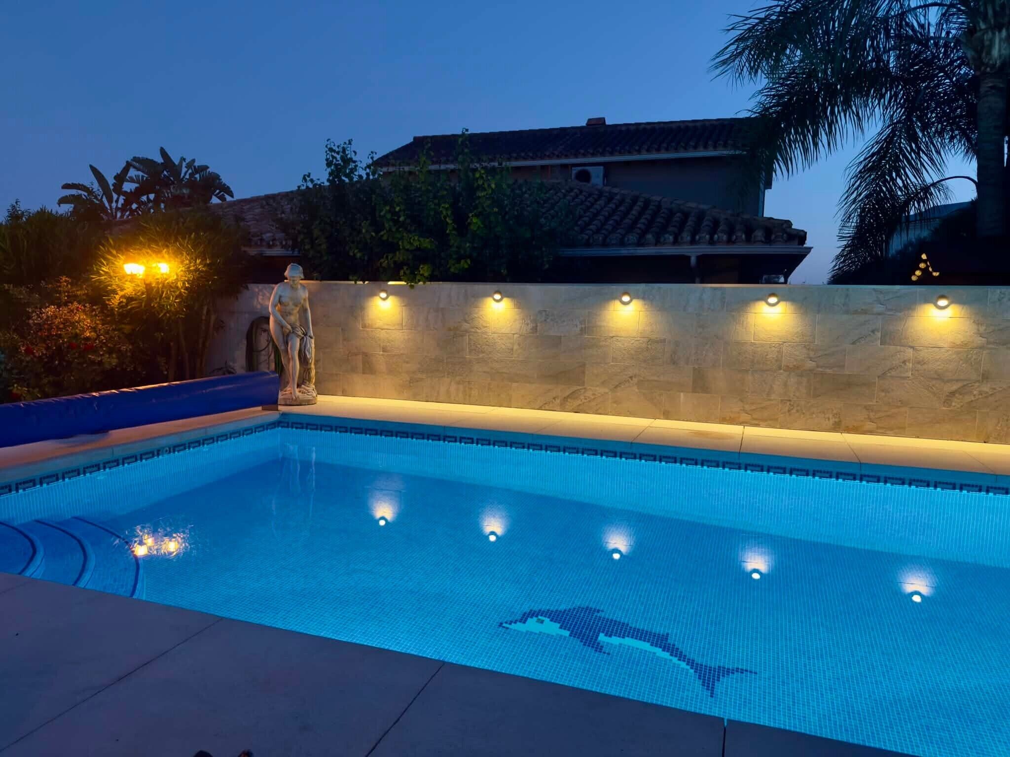 A swimming pool with a dolphin mosaic, stone wall, and lights.