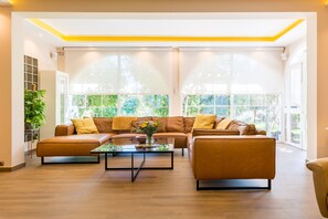 TV, fireplace, table tennis