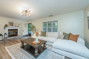 Smart TV, chimenea y reproductor de DVD 