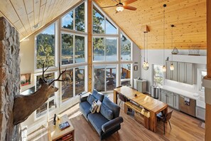 TV, fireplace, video games, DVD player