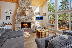 Televisie, een open haard, videospelletjes en een dvd-speler