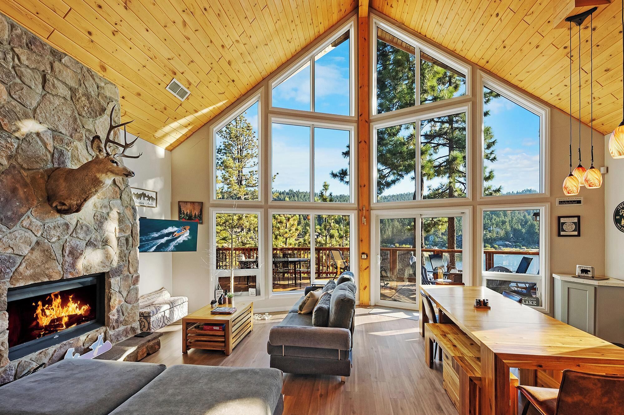 Una televisión, una chimenea, videojuegos, un reproductor de DVD