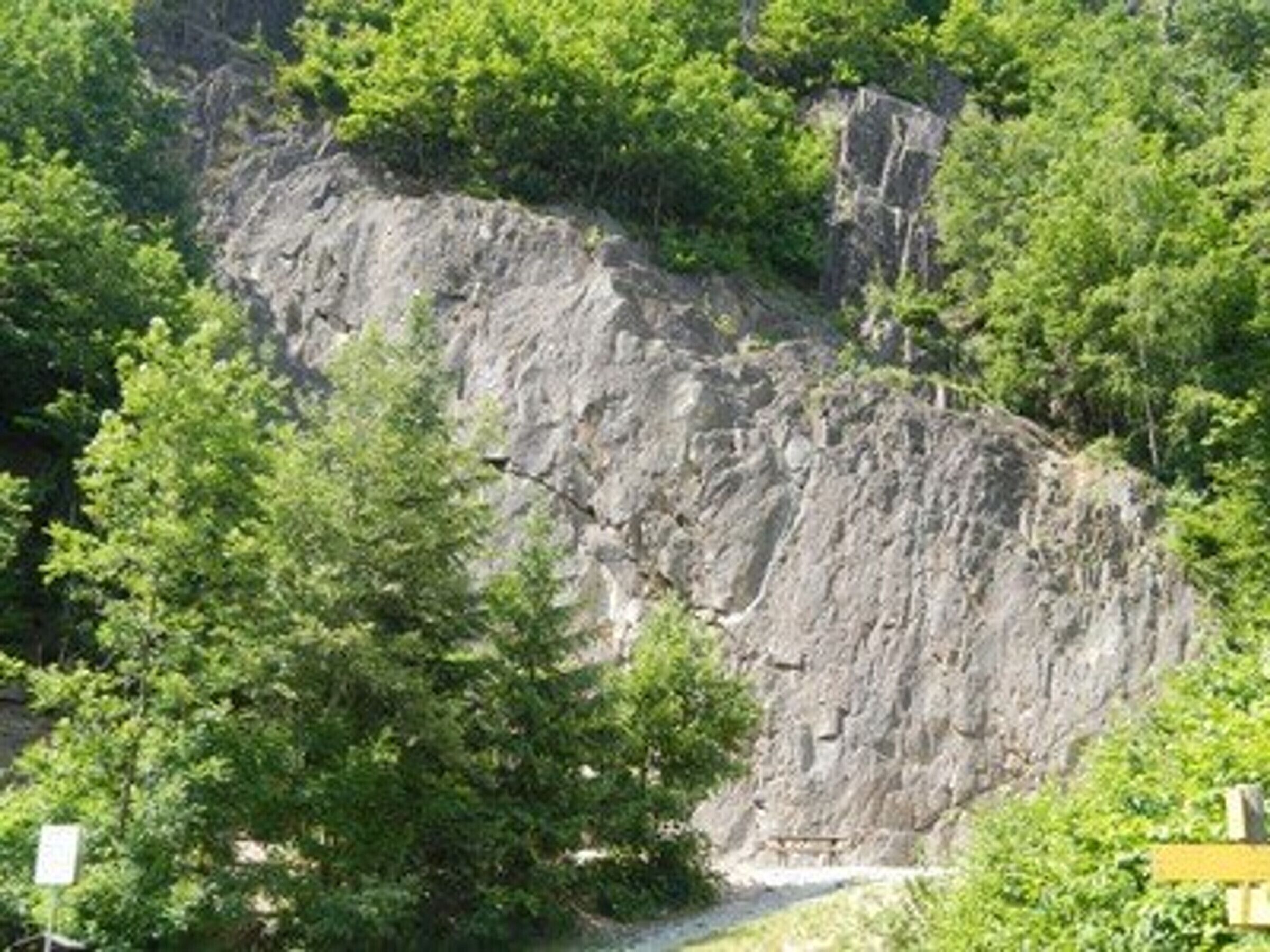 A natural landscape with a rocky cliff and dense green foliage.