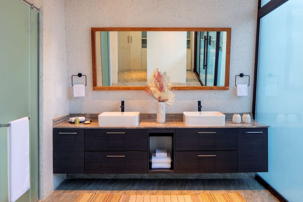 Une salle de bain moderne avec deux vasques, des meubles de rangement aux couleurs sombres, un grand miroir et un vase décoratif.