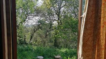 Kabin | Halaman properti