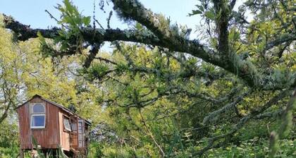 Stunning 1-bed Cabin in Totnes