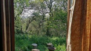 A view through a window with a wooden frame, looking out to a grassy area with trees and two wooden stumps. - Totnes - Cabin - Sleeps 4 - Garden - Parking (Totnes)