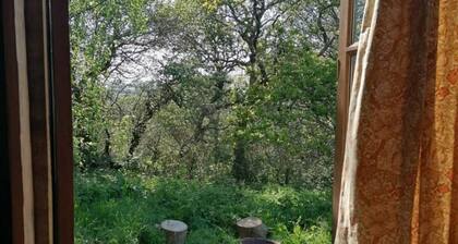Totnes - Cabin - Sleeps 4 - Garden - Parking