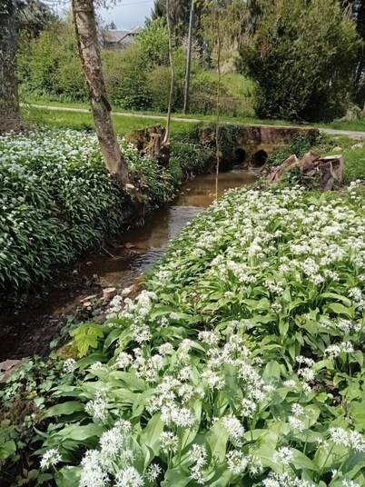 LE CAILLOUTIS - ST JEAN AUX BOIS