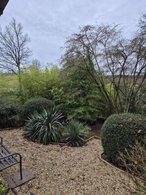 Property grounds - LE CAILLOUTIS - ST JEAN AUX BOIS (ST JEAN AUX BOIS)