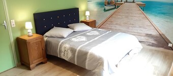 LE CHANT DES OISEAUX