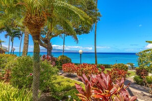 Property grounds - Oceanfront Corner Condo at Kuleana | Top-Floor Views, A/C, Pool, Tennis (Lahaina)