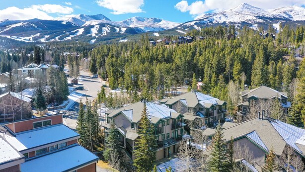 A residential area with houses surrounded by dense forests and snow-covered mountains in the background.