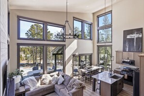 Smart TV, fireplace, books