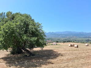 Miscellaneous - Your Refuge in Cilento Park: Among Nature, History, and Relaxation (SERRE)