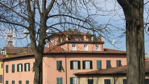 Un edificio con varias ventanas y contraventanas, una torre de campanas visible, y un árbol en primer plano.