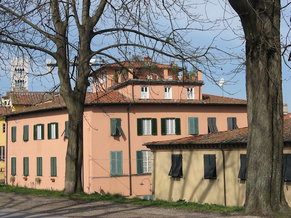A building with multiple windows and shutters, a visible bell tower, and a tree in the foreground. - THE MEDIEVAL WALLS (Lucca)