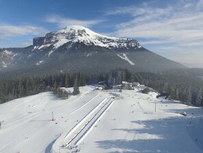 Snow and ski sports - 4-6 Pers apartment in the heart of the Chartreuse at the foot of the ski slopes (Sarcenas)