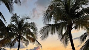 Vista al atardecer con palmeras y un muelle de madera que se adentra en aguas tranquilas.
