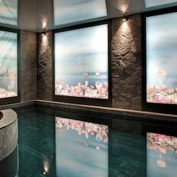 Indoor pool, sun loungers