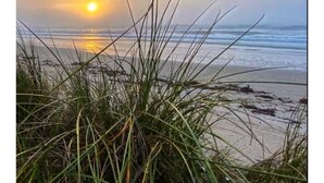 Escena de playa con césped al frente y un atardecer de fondo.