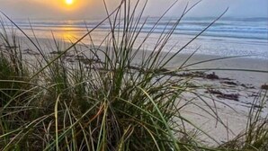 Escena de playa con césped al frente y un atardecer de fondo.