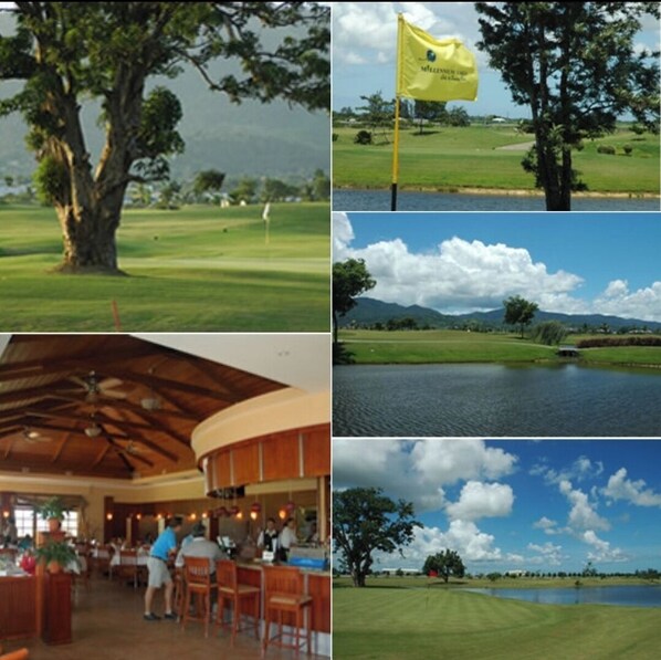 Bar (en la propiedad)