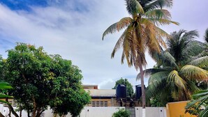 A courtyard with a tree, a water tank, and a white wall. - Cozy 2 Bedroom Apt near Airport, Malls, Golfing, Mountains  (Arouca)