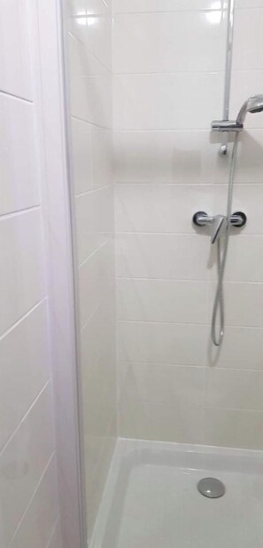 Shower, towels, toilet paper