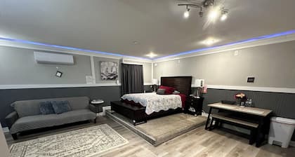 Private guesthouse w/wash & dryer! Fully equipped! Min from IAH.Hablo español.