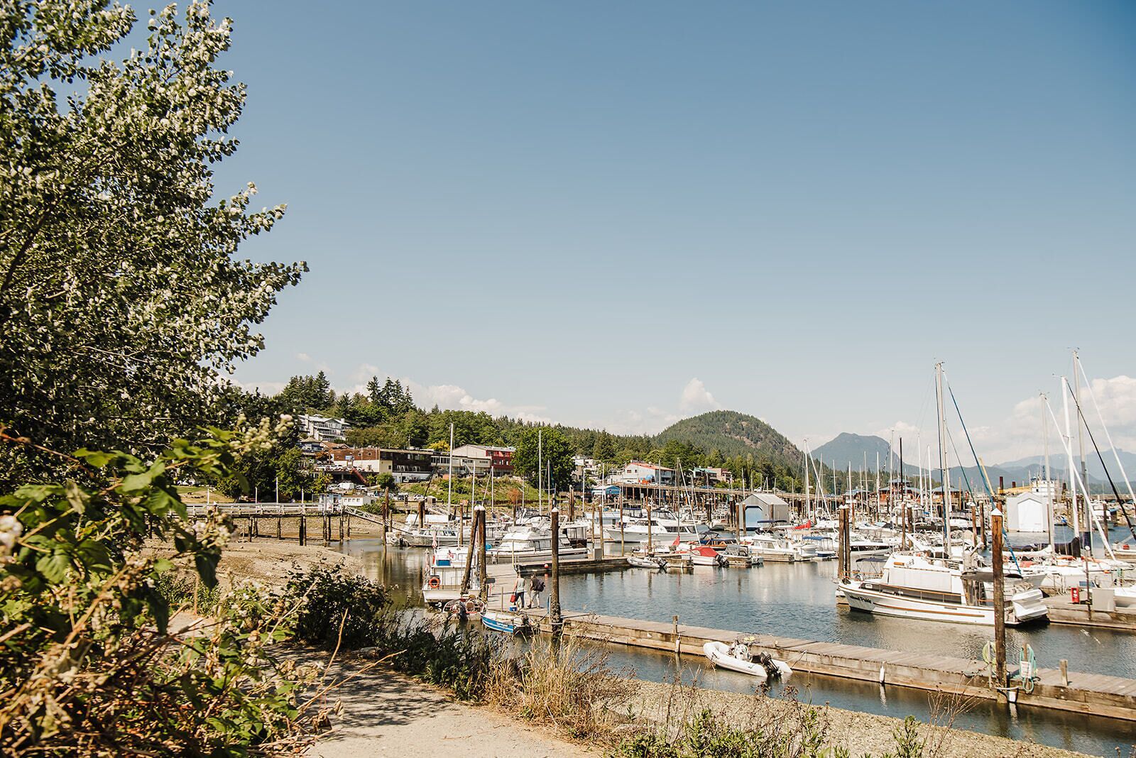A marina with boats docked, surrounded by greenery and buildings.