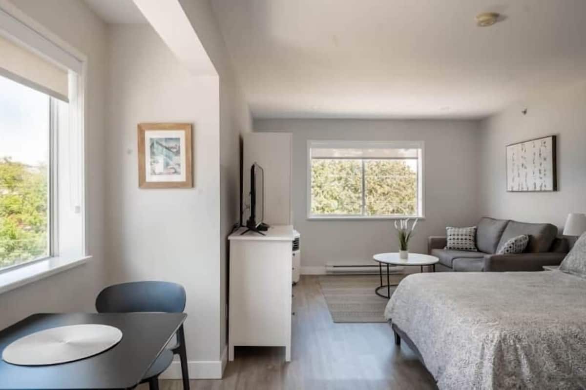 Premier Studio, 1 Queen Bed | Premium bedding, iron/ironing board, free WiFi, bed sheets