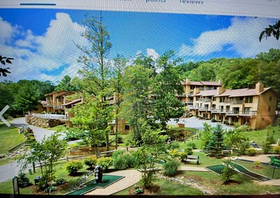 Blue Ridge Village (across from Sugar Mountain Ski area)  fireplace, fire pit