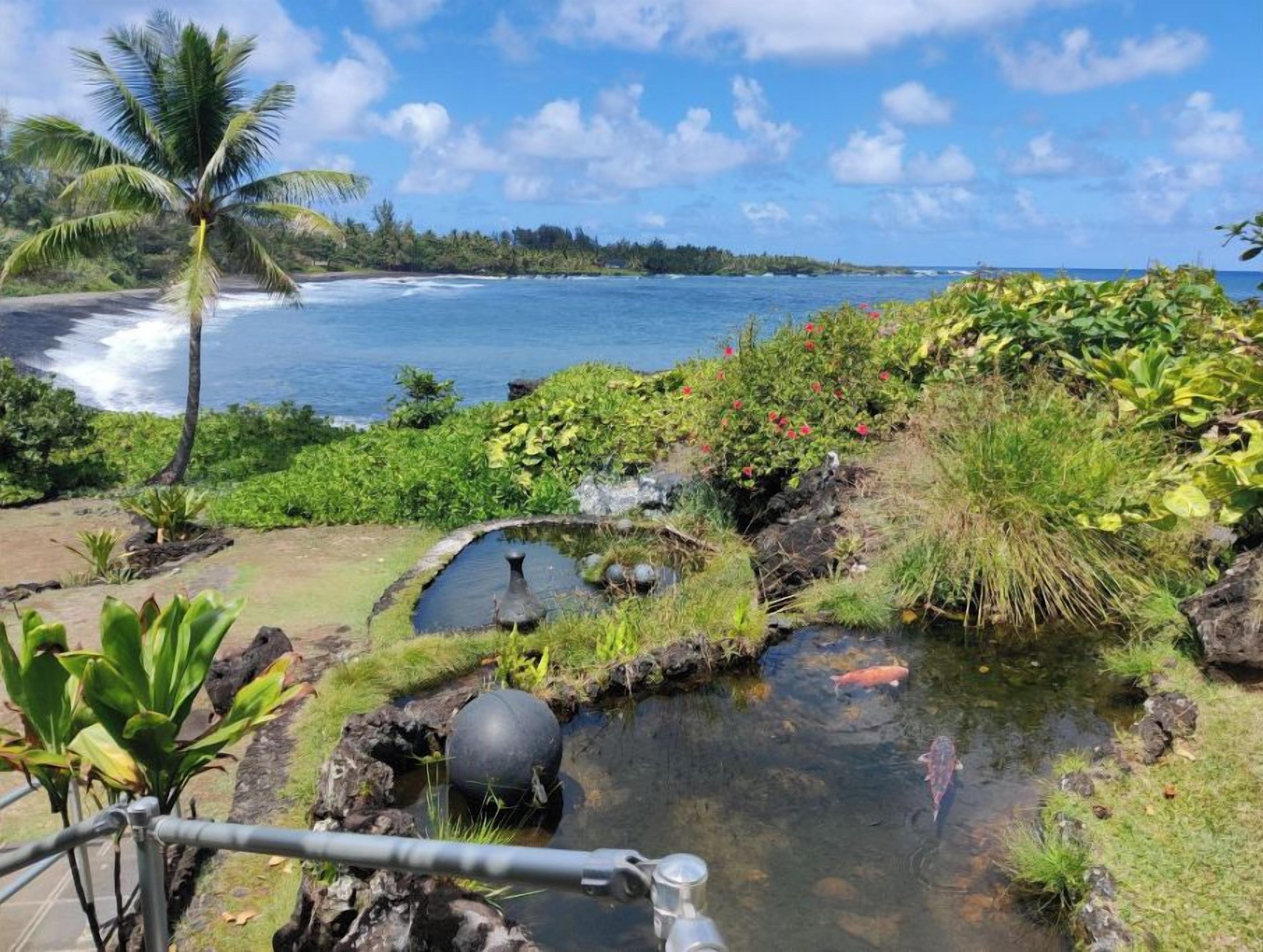 A tropical garden with a small pond, a palm tree, and a view of the ocean.