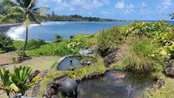 A tropical garden with a small pond, a palm tree, and a view of the ocean.