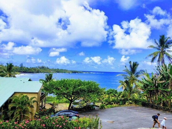 A parking area with a view of the ocean and palm trees. - Oceanview Condo in Hana-Let the ocean lull you to sleep (Hana)