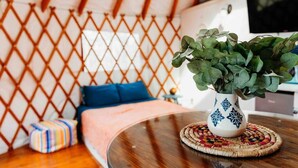 A cozy room with a wooden floor, a bed with blue pillows, a small table with a woven placemat, and a white vase with green plants. - Pet Friendly Keuka Yurt (Penn Yan)
