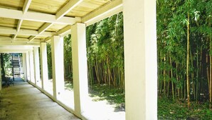 A covered walkway with concrete flooring and white pillars, surrounded by bamboo plants. - Classy Mid-Century Victorian ★ Ground-Floor ★ 2 Blocks from Forsyth Park (Savannah)