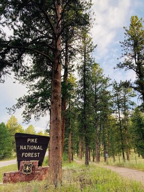 Unclassified image, 2 of 35, button - Mountain Sanctuary - Family Retreat (Woodland Park)