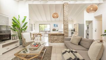 Smart TV, fireplace, books