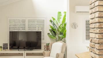 Smart TV, fireplace, books