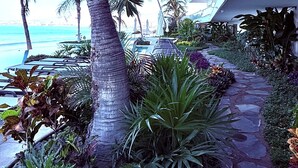 A pathway lined with tropical plants and palm trees, leading to a pool area with lounge chairs and umbrellas.