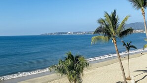 A beach view with a pool and palm trees.