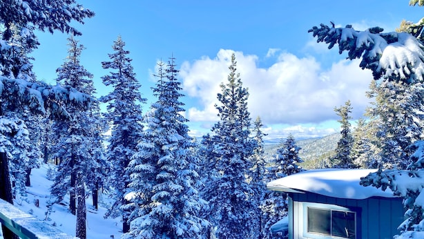 Paisagem coberta de neve com uma cabana e árvores perenes densas.